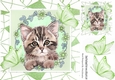 Sweet Kitten in frame of Abstract , flowers and green butterflies 8x8