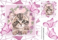 Sweet Kitten in frame of Abstract , flowers and pink butterflies 8x8