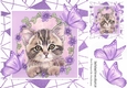 Sweet Kitten in frame of Abstract , flowers and purple butterflies 8x8