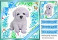lovely little Bichon puppy (two) with blue bows  and flowers 8x8