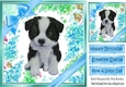 lovely little collie puppy (three) with blue bows  and flowers 8x8