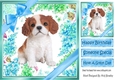 lovely little cavalier puppy (seven) with blue bows  and flowers 8x8