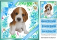 lovely little beagle puppy (nine) with blue bows  and flowers 8x8