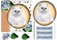 Sweet white persian kitten with blue roses card front 7x7 with topper
