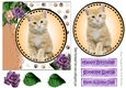 Sweet ginger/white kitten with purple/cream roses card front 7x7 with topper