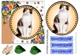 Sweet white/tan/black kitten with pretty flowers card front 7x7 with topper