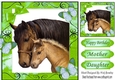 Moment with mum and baby foal with butterflies 8x8 (green)