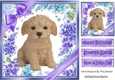 Gorgeous little labradoodle puppy with purple bows and flowers 8x8