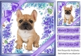 Gorgeous little french bulldog puppy with purple bows and flowers 8x8
