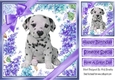 Gorgeous little dalmation puppy with bows  and flowers 8x8