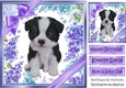 Gorgeous little dalmation puppy with purple bows and flowers 8x8