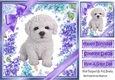 Gorgeous little bichon puppy with purple bows and flowers 8x8