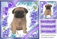 Gorgeous little pug puppy with purple bows and flowers 8x8
