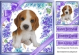 Gorgeous little beagle puppy with purple bows and flowers 8x8