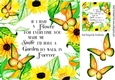 Sunflowers and butterflies card front 8x8