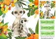 Lovely Tropical Fruit Frame with a cute pair of meerkats 8x8