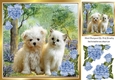 Cute kitten/puppy in the woodlands with blue corner roses 8x8