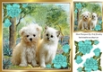 Cute kitten/puppy in the woodlands with turq corner roses 8x8
