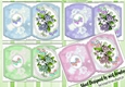 4 Pretty Coloured flowers and tropical butterflies bracket cards mini kit