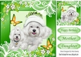 cute westies in green ornate frame with butterflies 8x8