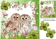 cute fluffy owls with roses and flowers 8x8
