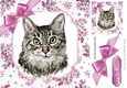 Pretty delicate flowers in pink with water colour cat card front 8x8