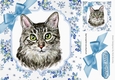 Pretty delicate flowers in blue card front with water colour cat 8x8