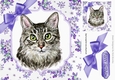 Pretty delicate flowers in purple card front with water colour cat 8x8