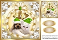 Cute puppy and kitten in green santa hats with gold bells 8x8