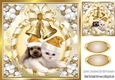 Cute puppy and kitten in gold santa hats with gold bells 8x8