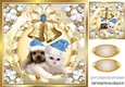Cute puppy and kitten in blue santa hats with gold bells 8x8