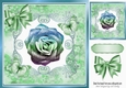 Pretty green rainbow glitter rose with butterflies in floral frame 8x8
