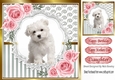 Pretty silver stripe/swirls /lace card front with white puppy pink roses 8x8