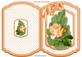Pretty peach rose on a big leaf with bow/stars bracket card
