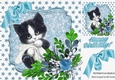 Cute kitten with blanket, and water colour turq flowers & bow 8x8
