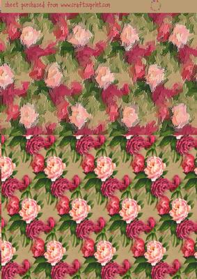 Pink Rose Velum