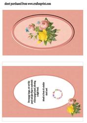 Rose in a Dome