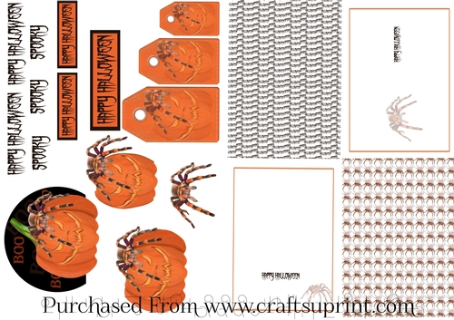 Scary Pumpkin Spider Halloween Card