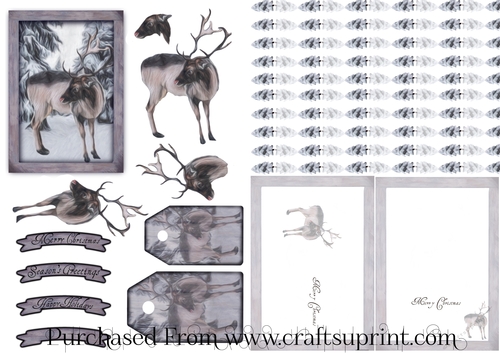  Real Rudolph The Reindeer Christmas Card