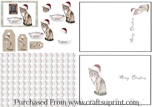 Scruffy Christmas Cat In Santa Hat