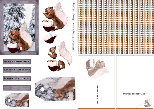 Squirrel Christmas Card Kit