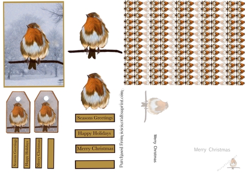 Christmas Robin Card Kit