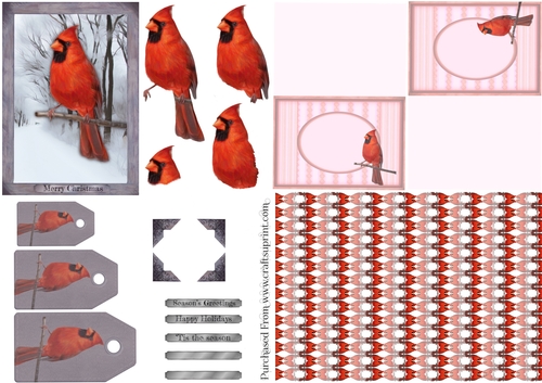 Cardinal Christmas Bird Card Kit