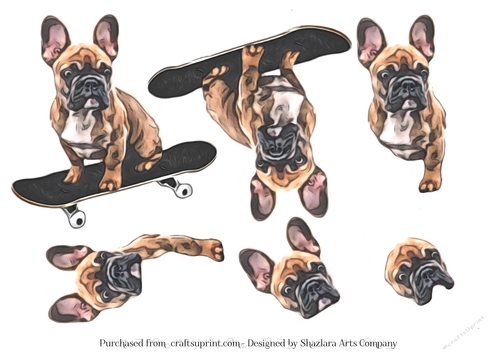 Frenchbull Dog On Skateboard Decoupage 