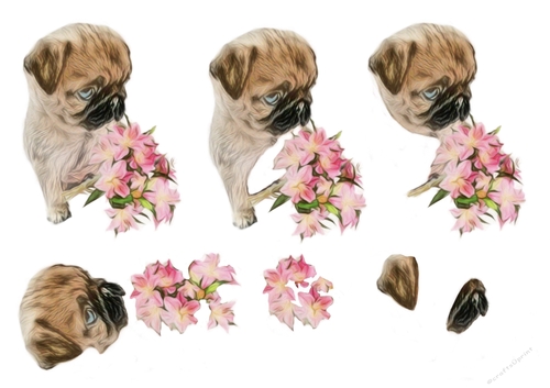  Cute Pug With Flowers Decoupage 
