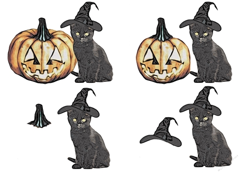 Cat In Witches Hat By Pumkin