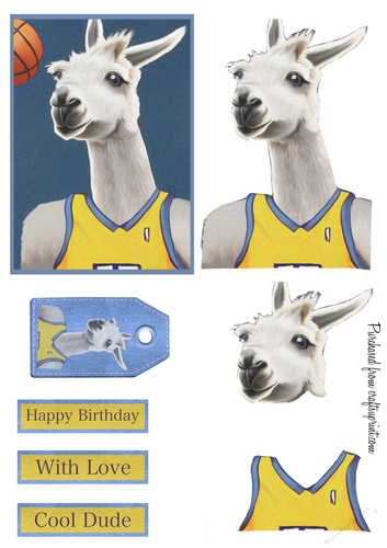 Basketball Llama