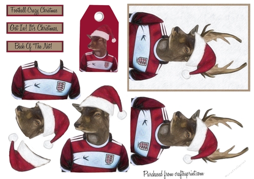 Christmas Football Reindeer 