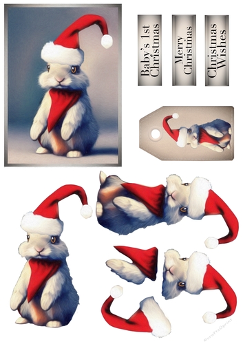 Cute Bunny In Santa Hat