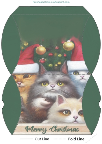 Christmas Cats Pillow Gift Box
